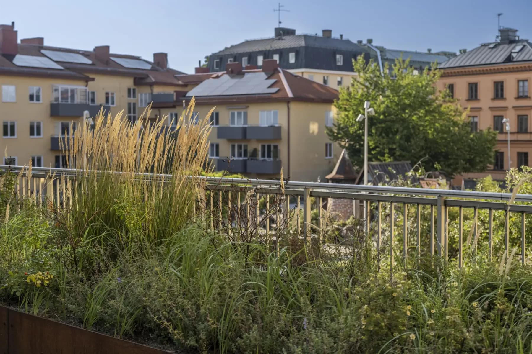 S:t Persgatan 6 – bild 2